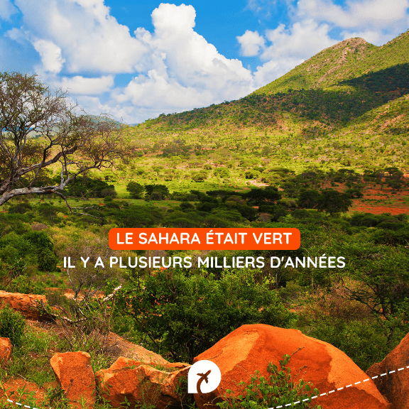 Exemple de publication Instagram, agence digitale Lyon